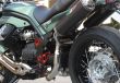 Detail_Griso_23.JPG